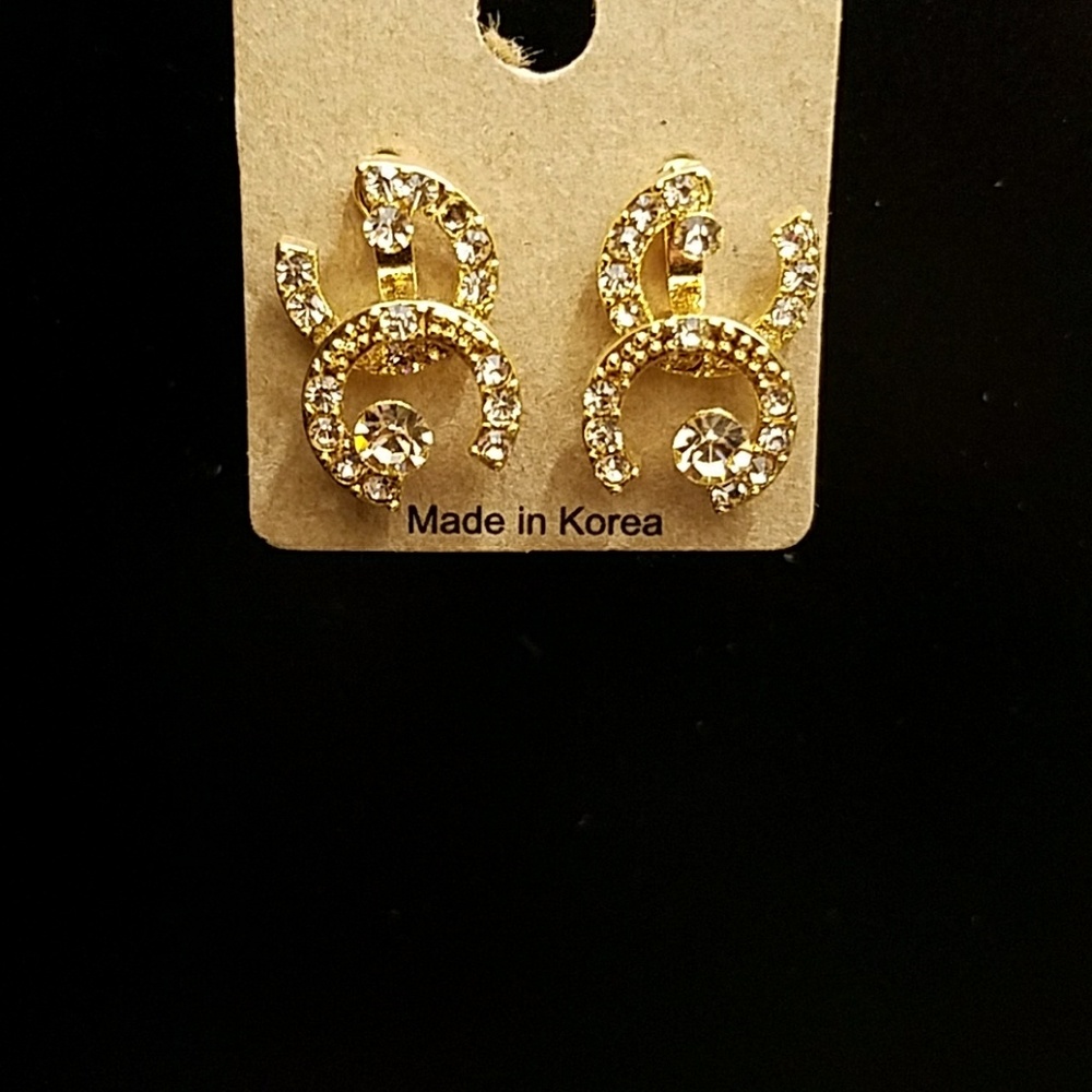 Fashion earrings